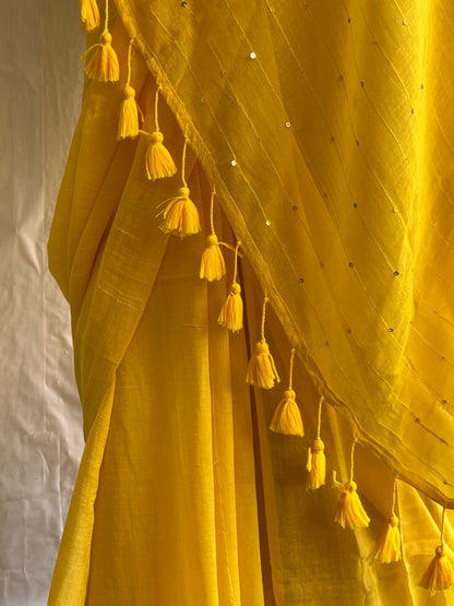 Sequin mul cotton saree