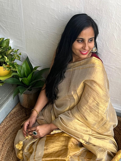 Noor l Golden Acrylic tissue saree